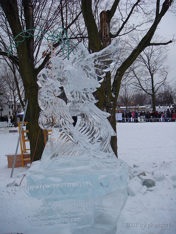 092 Plymouth Ice Show [2008 Jan 26].JPG - Scenes from the Plymouth, Michigan Annual Ice Show.